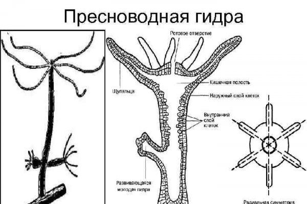 Кракен даркнет маркет